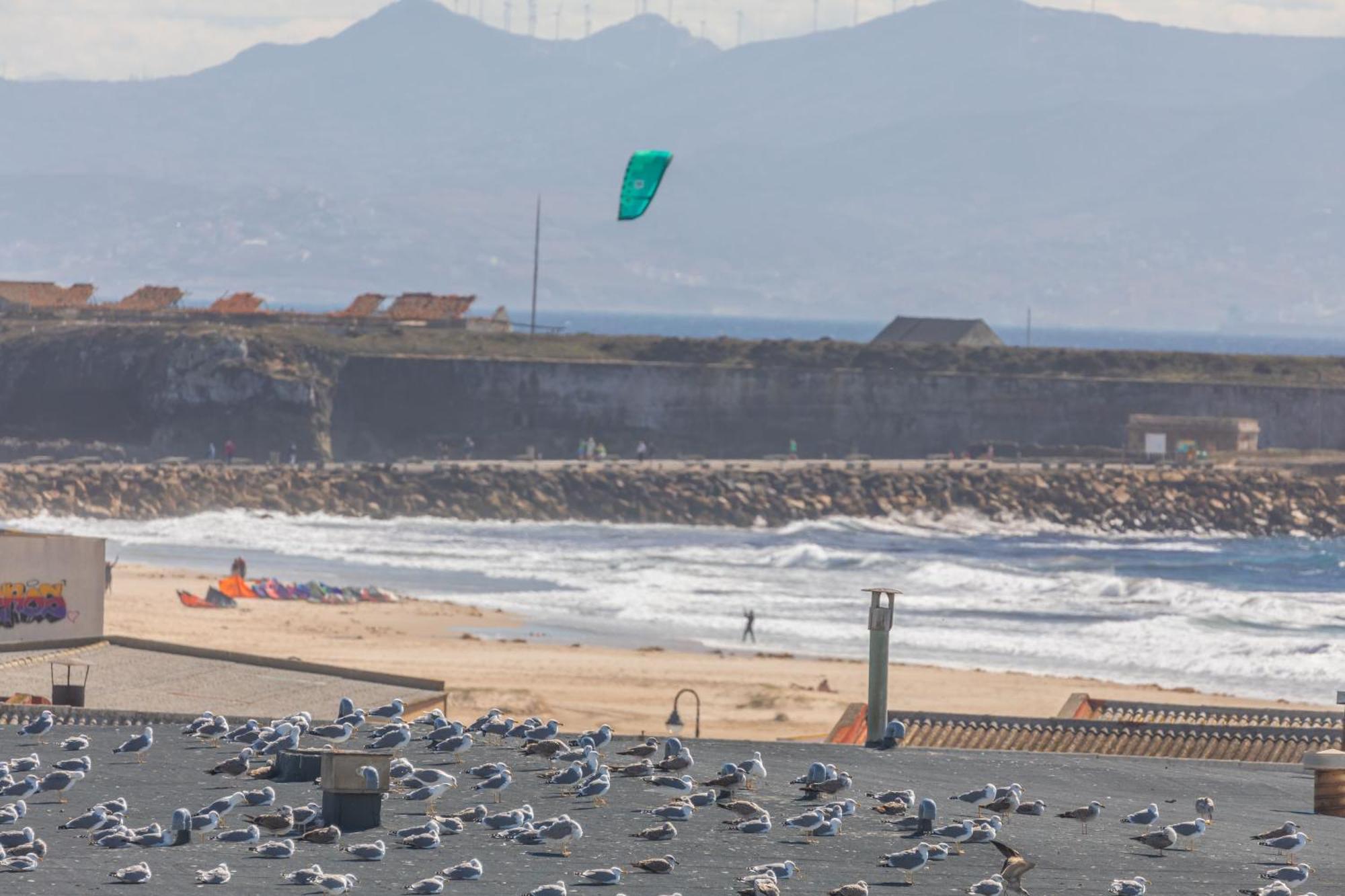 Los Lances Beach Apartments Tarifa Ngoại thất bức ảnh